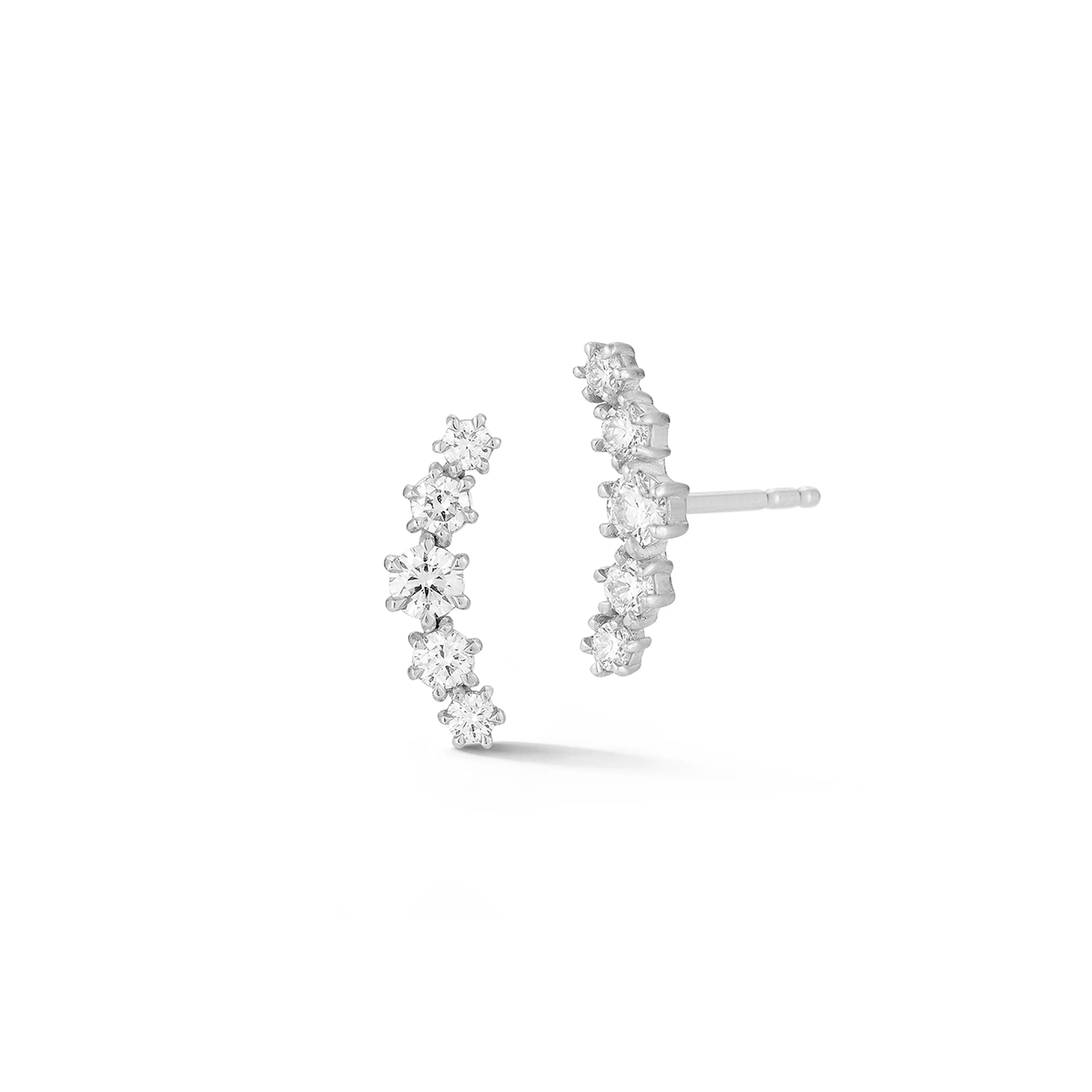 Catherine Curve Studs