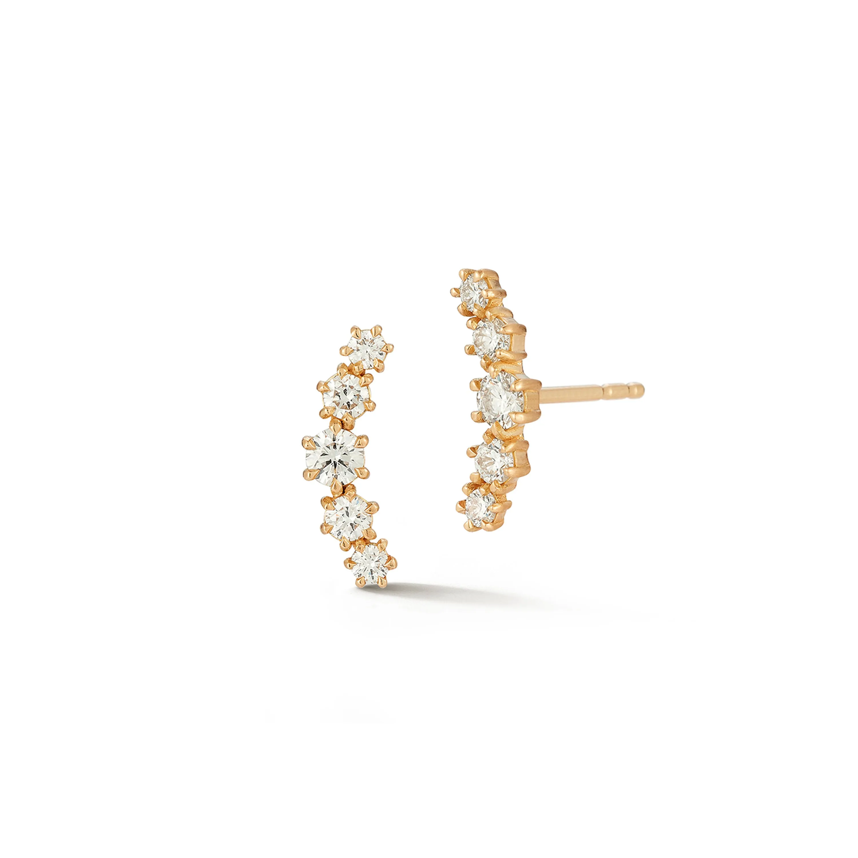 Catherine Curve Studs