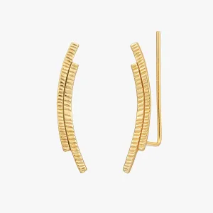 Curve Bar Ear Climber