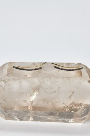 Diamond Crawler Earrings