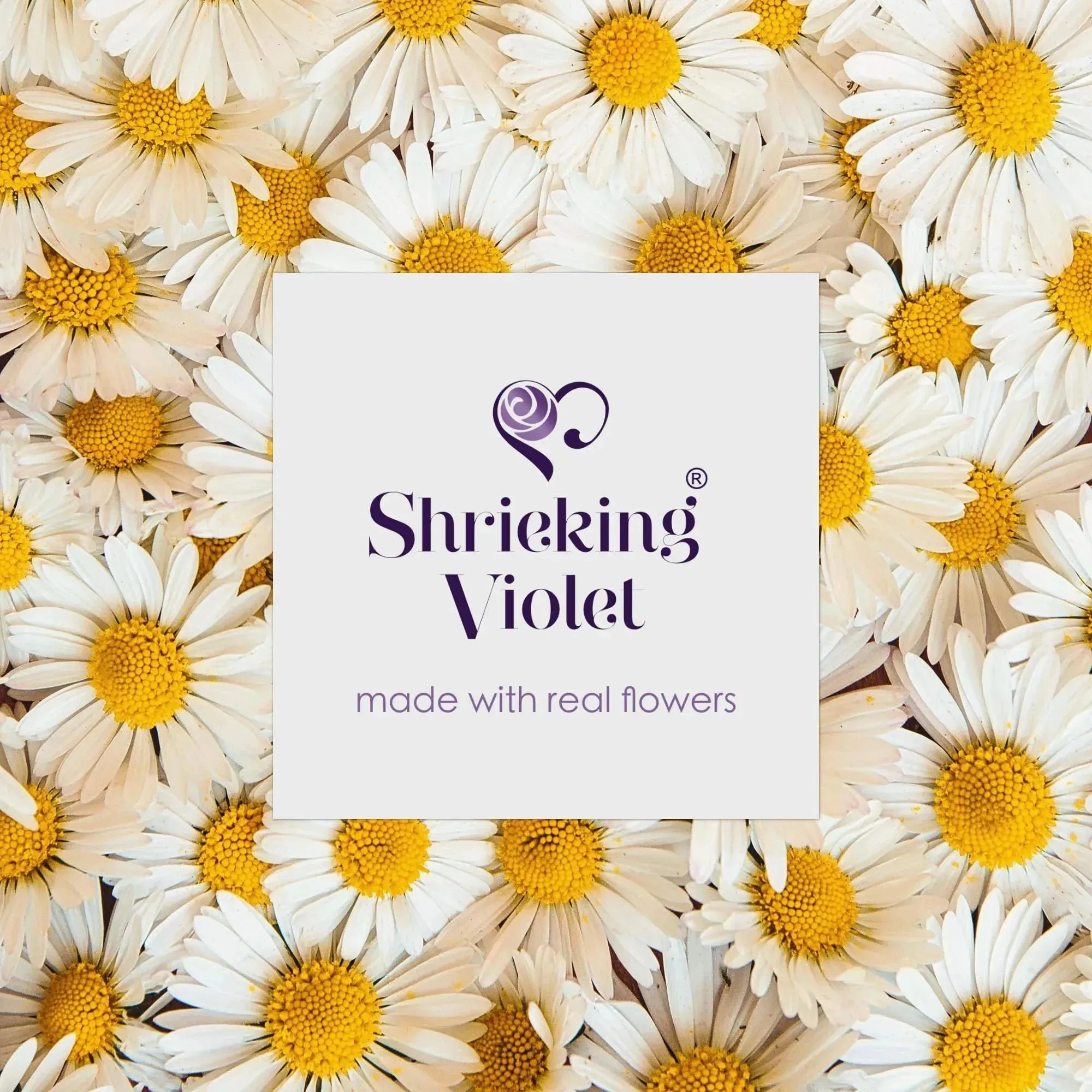 Handmade Real Daisy Evil Eye Pendant Necklace - Sterling Silver | Shrieking Violet®