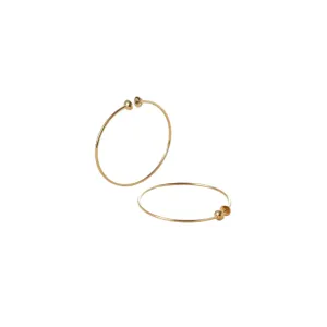 ICON HOOPS