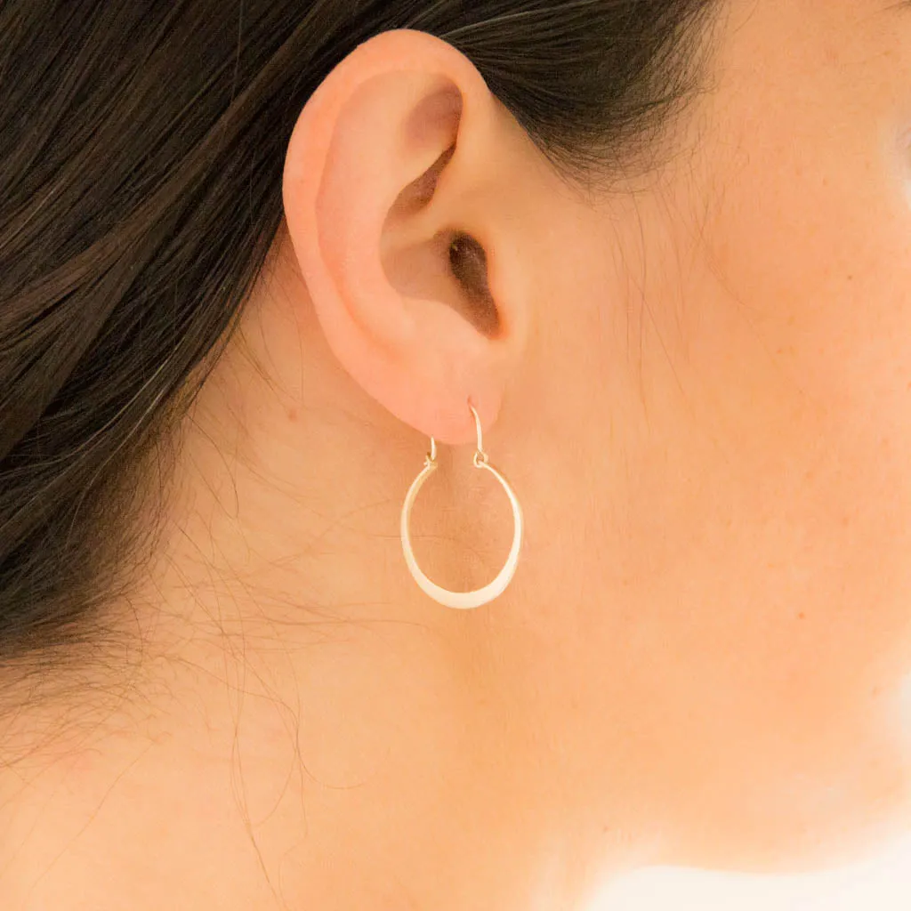 <!--ER864-->lunar hoops