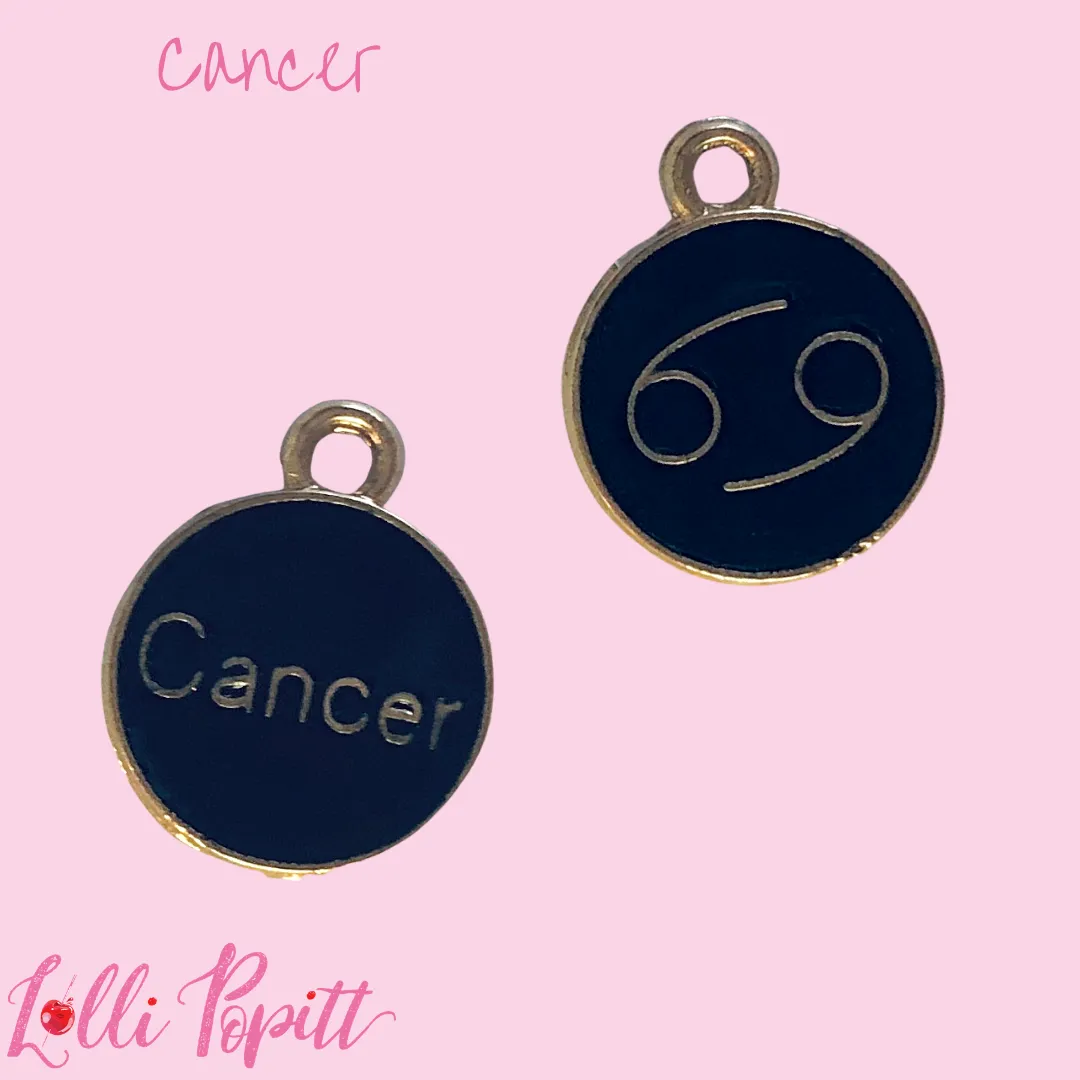 Zodiac Sign Charms