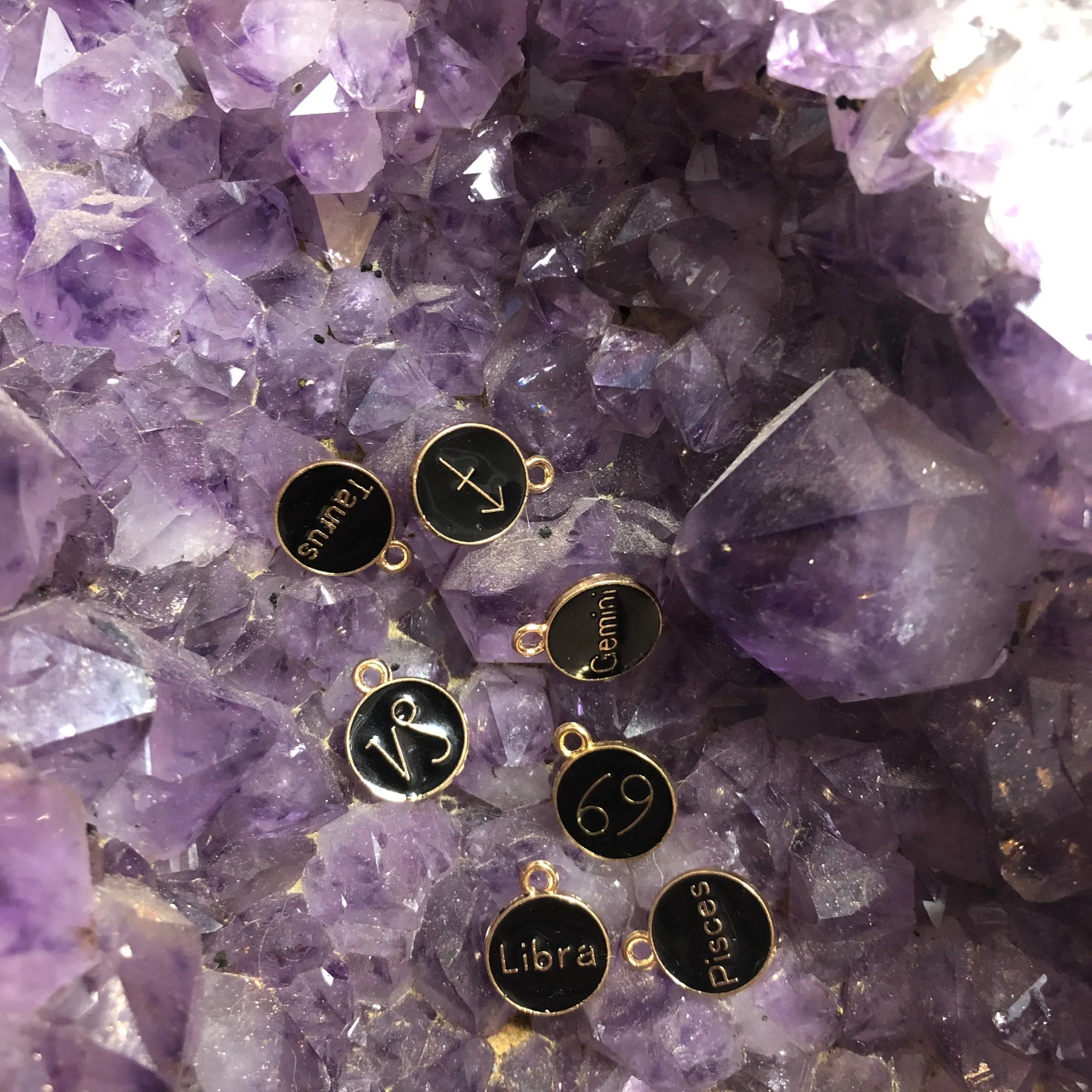 Zodiac Sign Charms