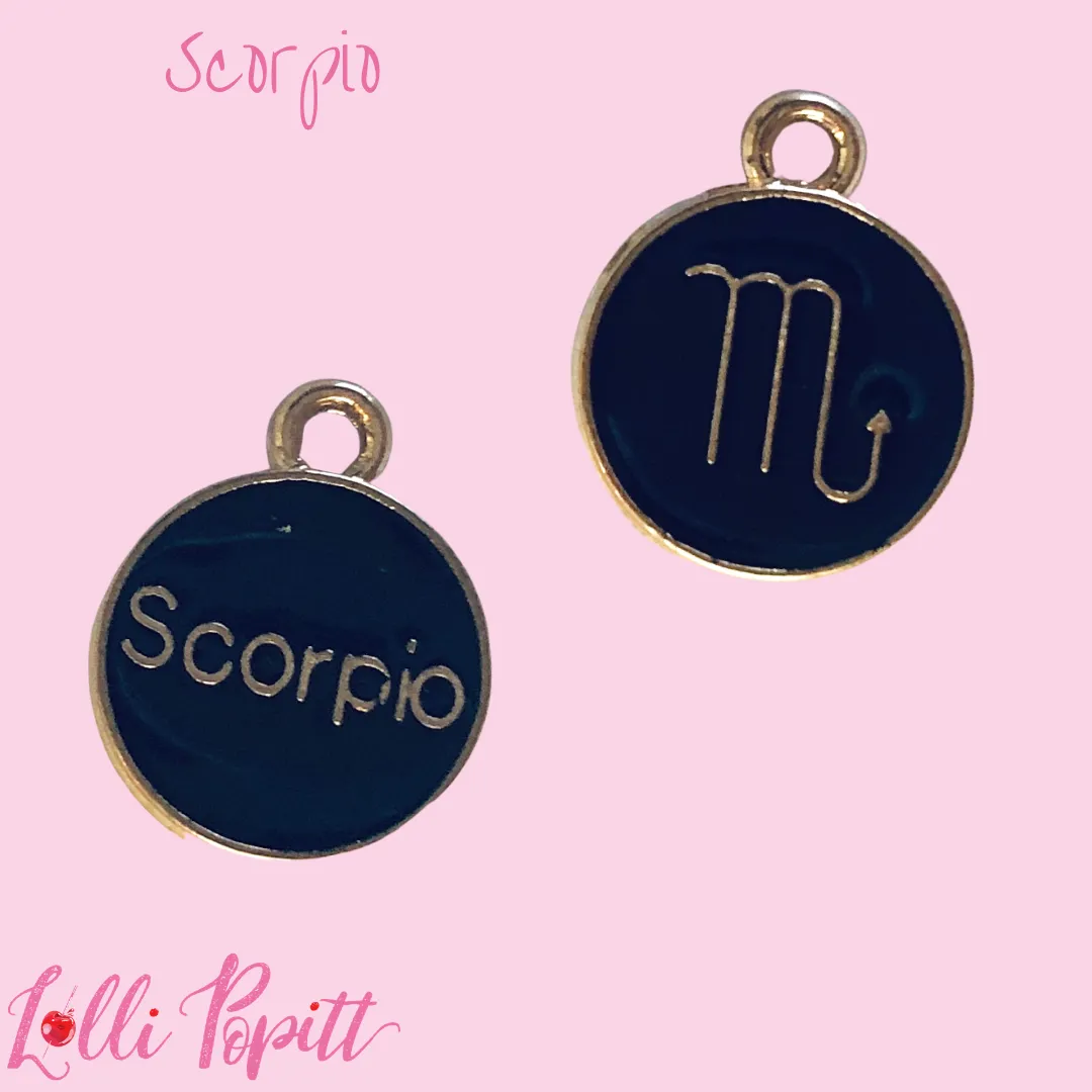 Zodiac Sign Charms